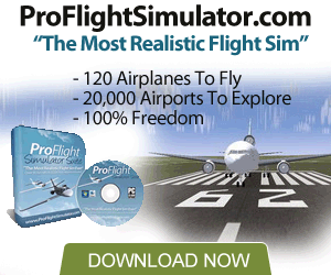 Are You Looking For A Flight Simulator Download