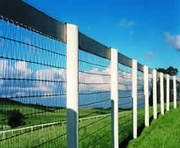 Diamond Mesh Fence