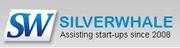 Silver Whale – Financial planning for businesses