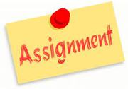 Assignment Essay Report Dissertation Helpers Professional and Reliable