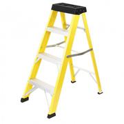 Fibreglass Caged Ladder By Treadwell Group