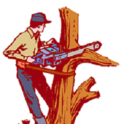 Best Tree Removal Services in Adelaide