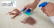 Get Your Carpet Cleaned with Adelaide Professional Carpet Cleaning