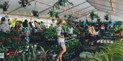 Adelaide - Indoor Plant Warehouse Sale - Summertime Madness!