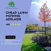Best Garden Services Adelaide | Garden Care Adelaide