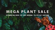 SALE EXTENDED - Australia’s Biggest Online Indoor Plant Sale!