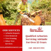 Best tree pruning service in Adelaide