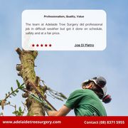 Best Tree Surgery service in Adelaide