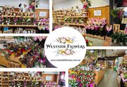 Best Florist Adelaide,  Flowers in Adelaide | Westside Flowers