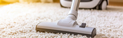 Need Professional Carpet Cleaning in Adelaide? We’ve Got You Covered