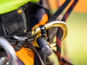Professional Tree Felling Adelaide Hills | Skilled Tree Care